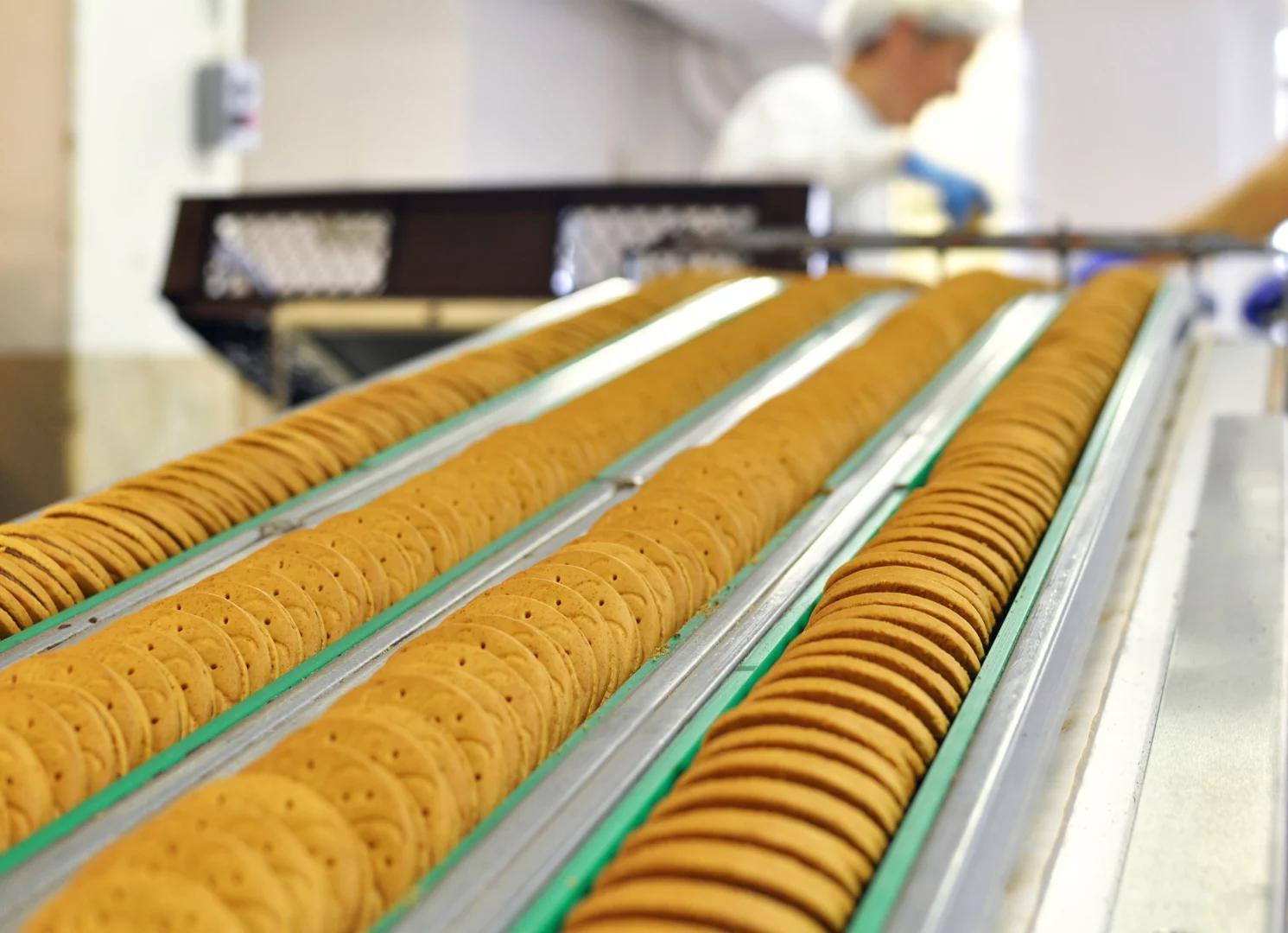 Industria Alimenticia